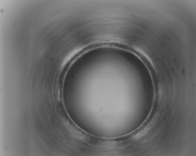 X0000062910925200601201932