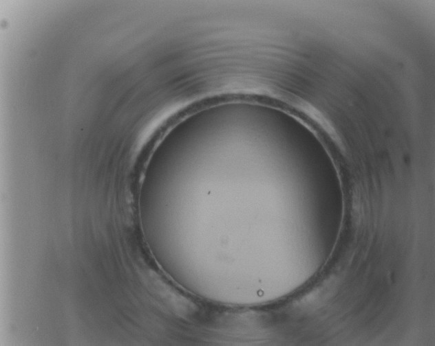 X0000062910926200601201932