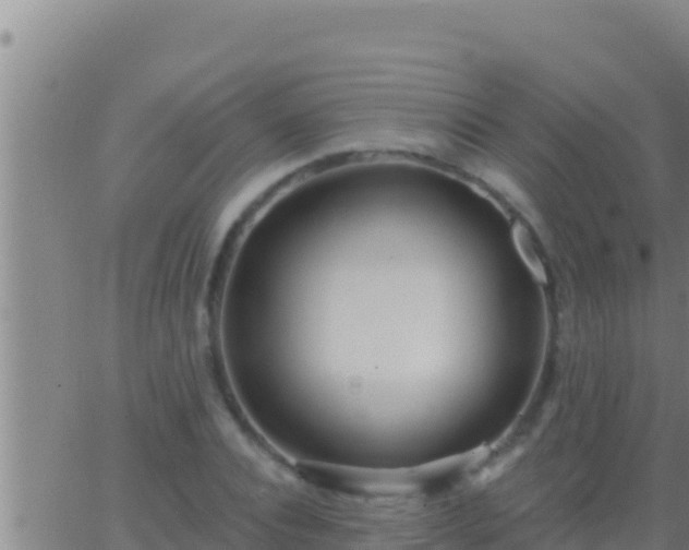 X0000062910928200601201932