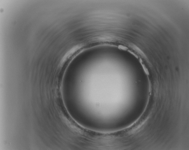 X0000062910930200601201932