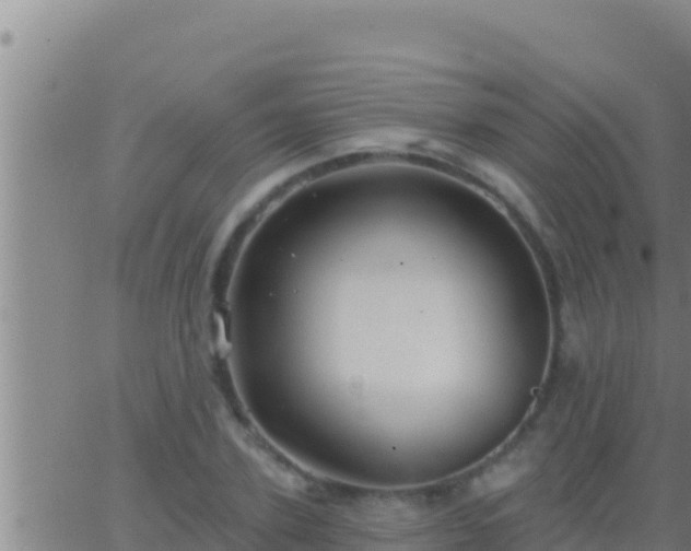 X0000062910931200601201932