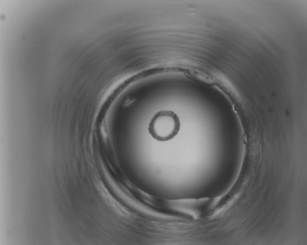 X0000062910932200601201932