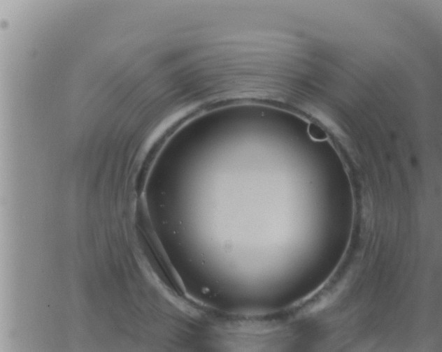 X0000062910933200601201932