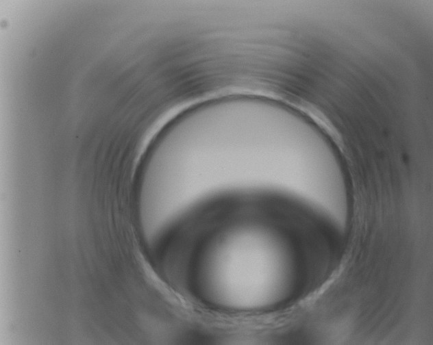 X0000062910934200601201932