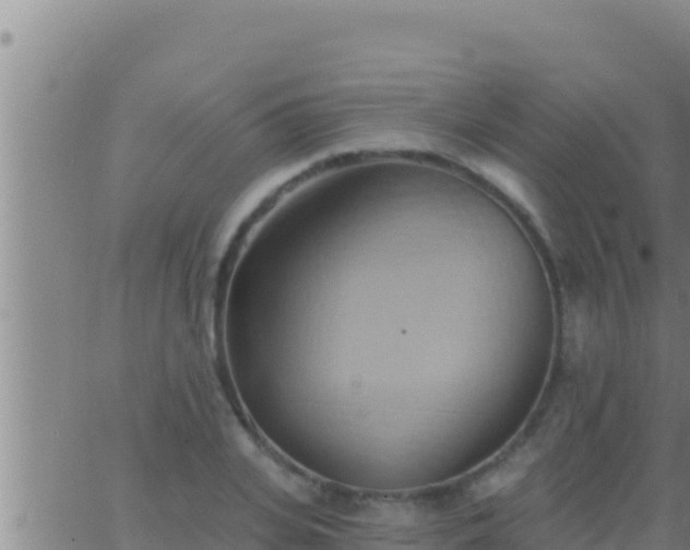 X0000062910935200601201933