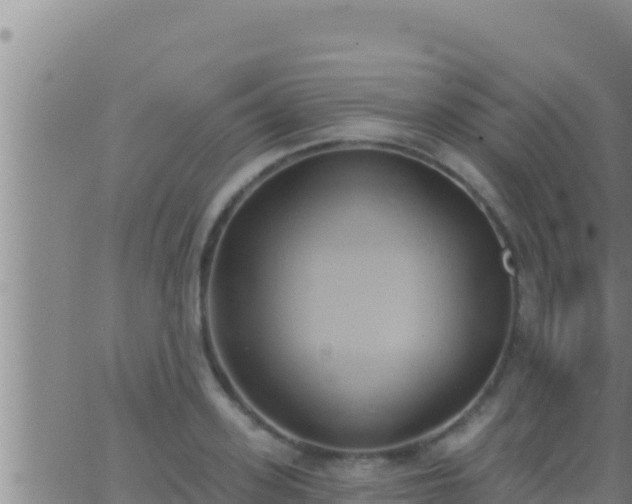 X0000062910939200601201933