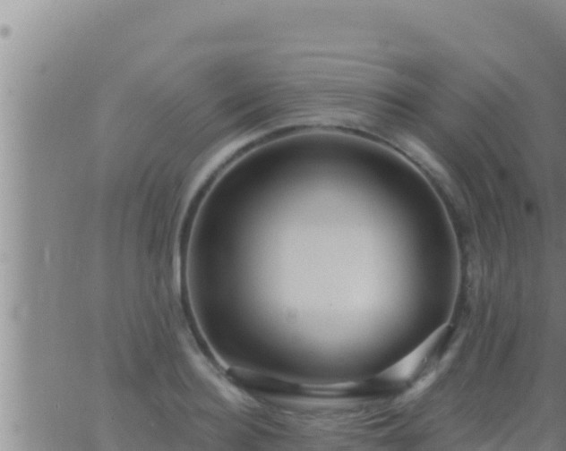 X0000062910940200601201933