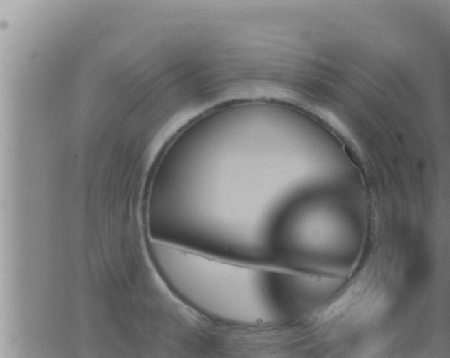 X0000062910943200601201933