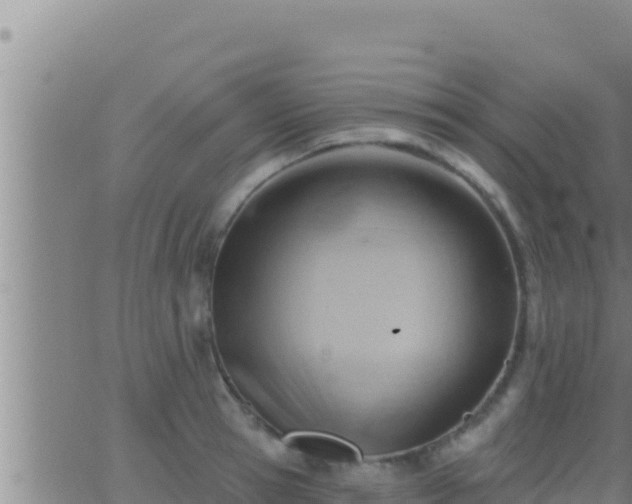 X0000062910945200601201933