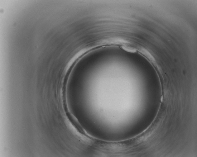 X0000062910947200601201933