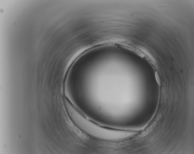 X0000062910948200601201933