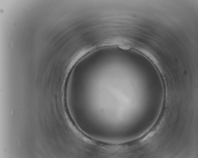 X0000062910949200601201933