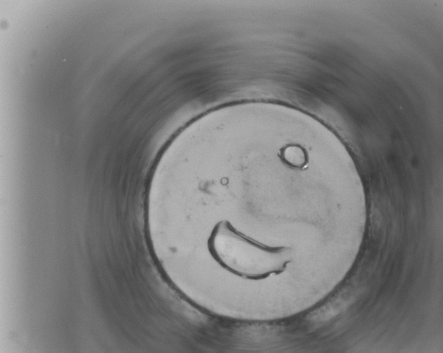 X0000062910950200601201933