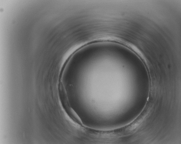 X0000062910951200601201933