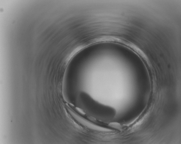 X0000062910953200601201933