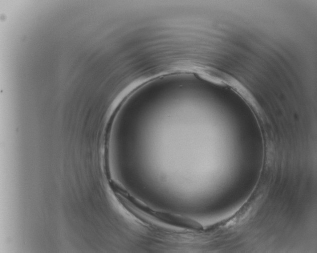 X0000062910955200601201933