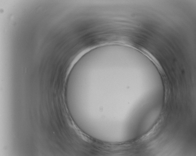 X0000062910956200601201933