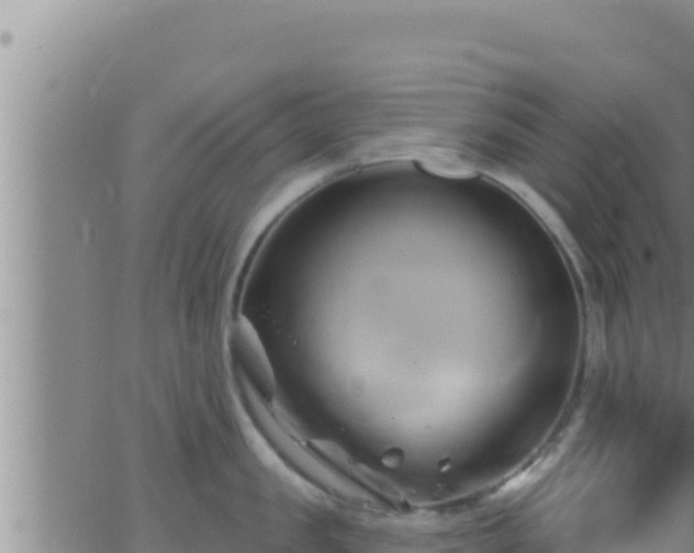 X0000062910957200601201933