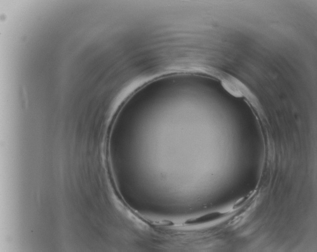 X0000062910958200601201933