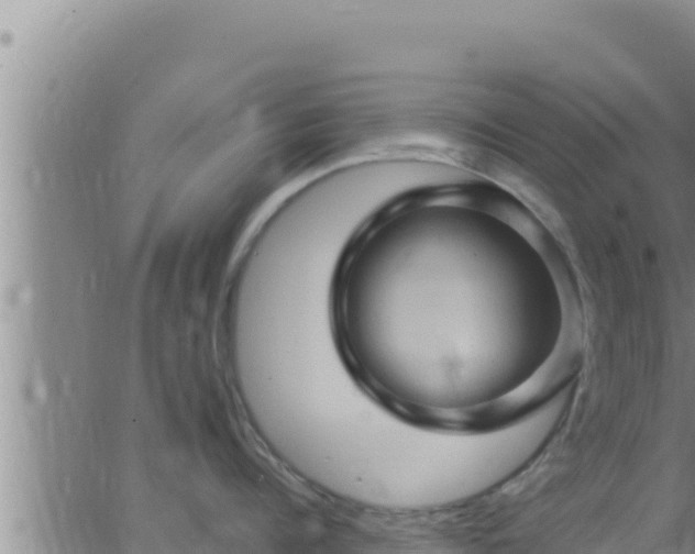 X0000062910960200601201933