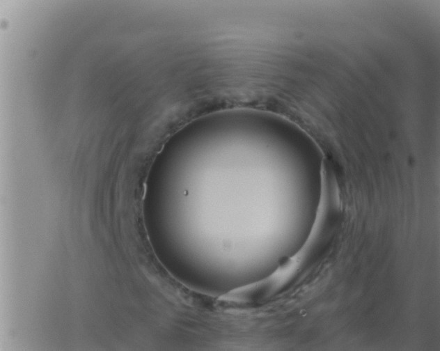 X0000062910961200601201932