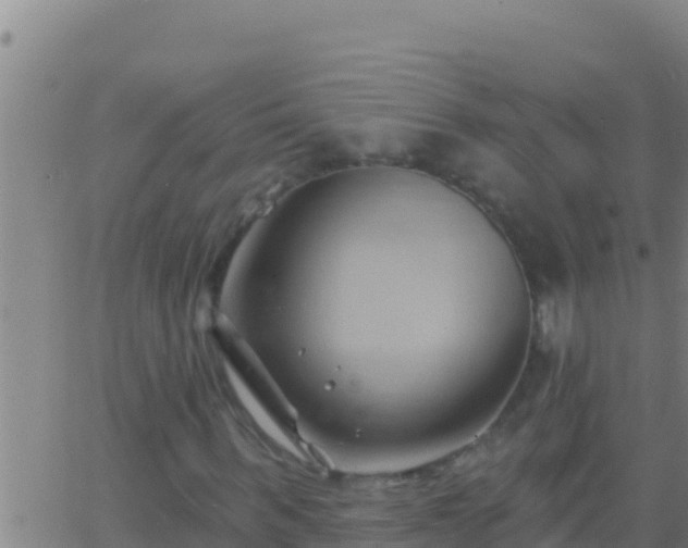 X0000062910963200601201932