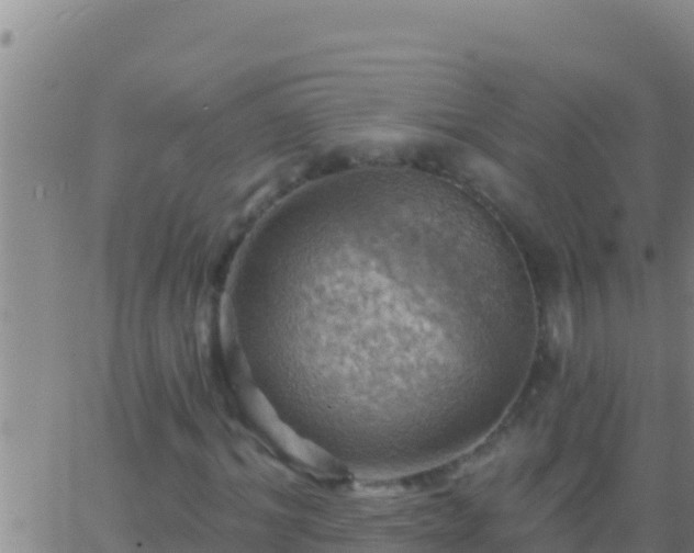 X0000062910964200601201932