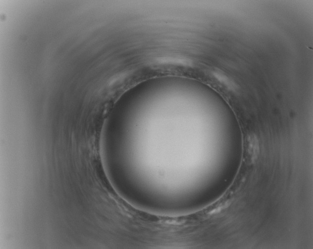 X0000062910965200601201932