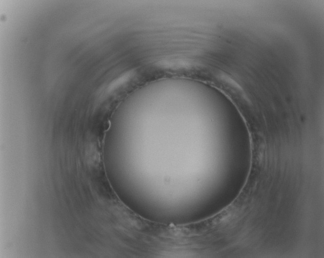 X0000062910966200601201932