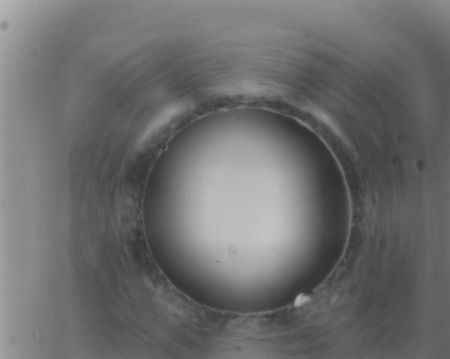 X0000062910967200601201932