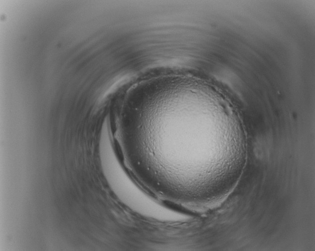 X0000062910968200601201932