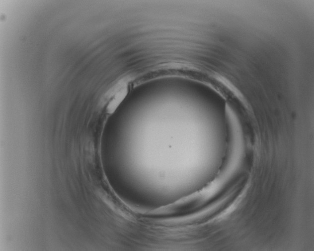 X0000062910969200601201932