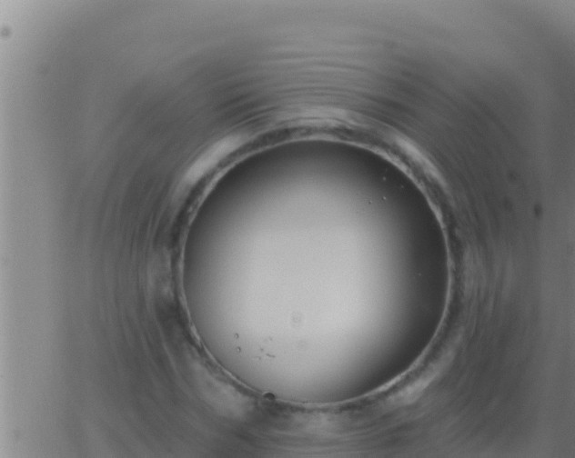 X0000062910970200601201932