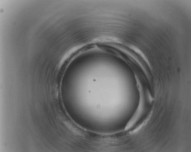 X0000062910973200601201932