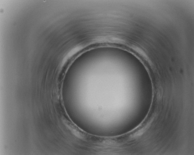 X0000062910974200601201932