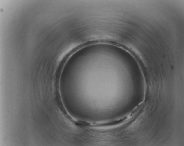 X0000062910975200601201932