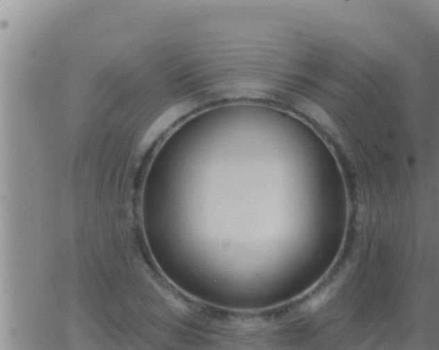 X0000062910978200601201932