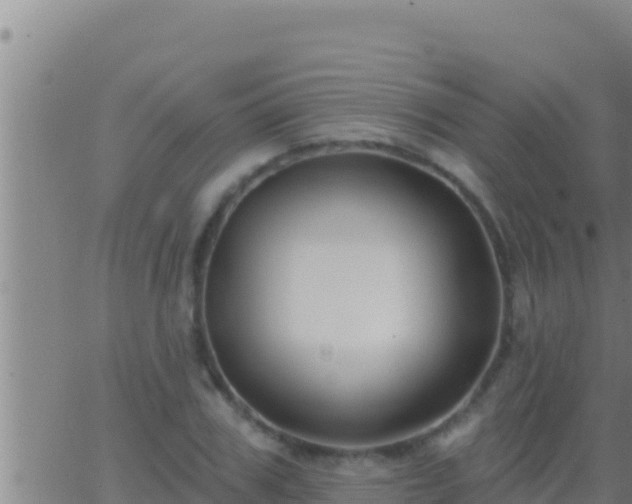 X0000062910979200601201932