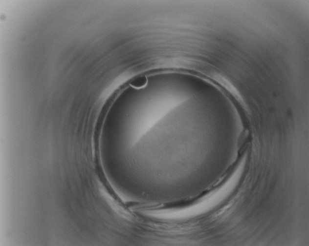 X0000062910980200601201932