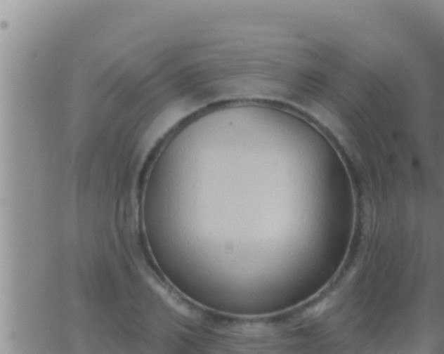 X0000062910982200601201932