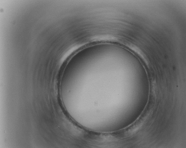 X0000062910983200601201932