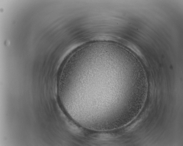 X0000062910984200601201932