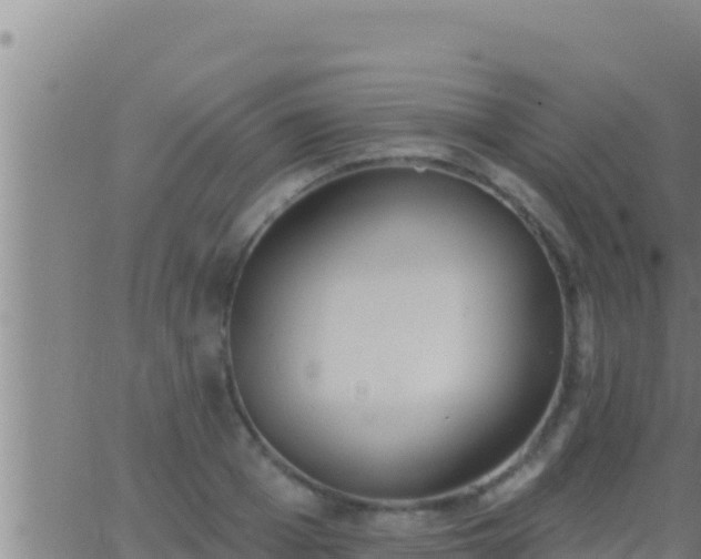 X0000062910985200601201932