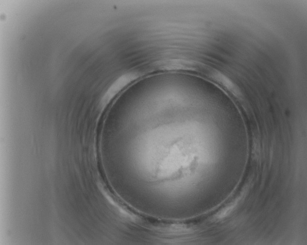 X0000062910986200601201932