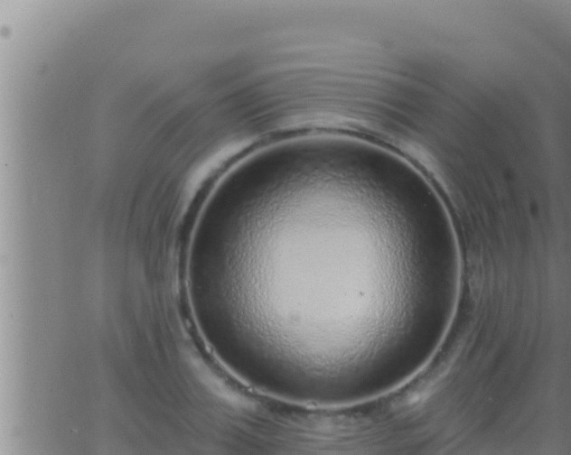 X0000062910987200601201932