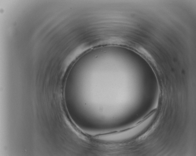 X0000062910989200601201932