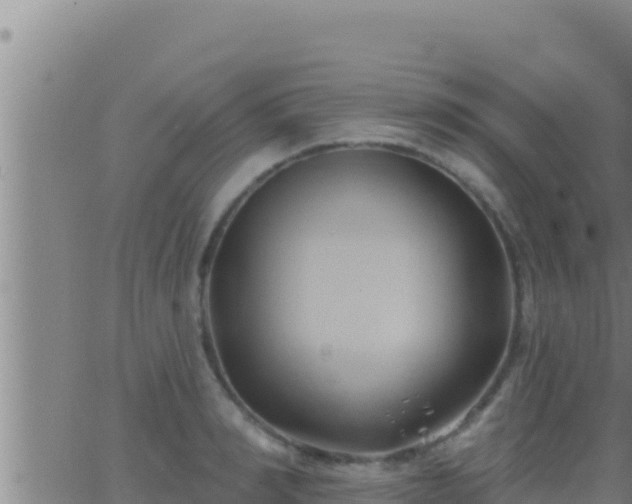 X0000062910990200601201932