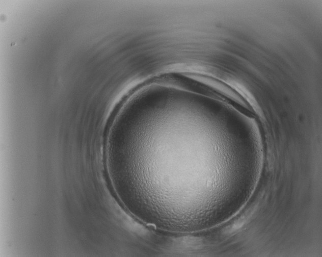 X0000062910992200601201932