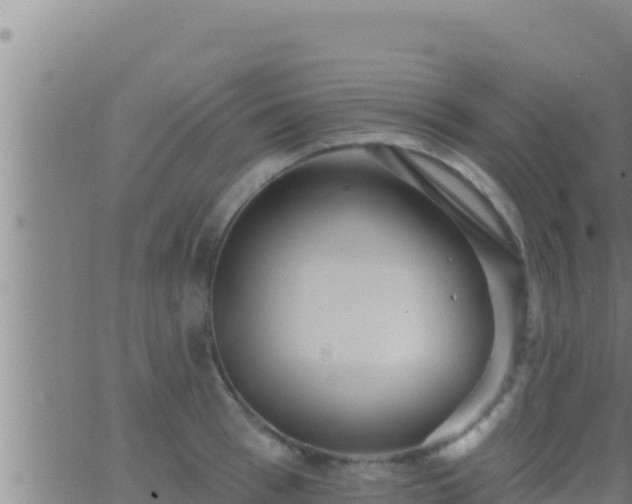 X0000062910993200601201932