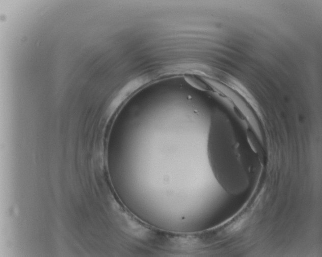 X0000062910994200601201932